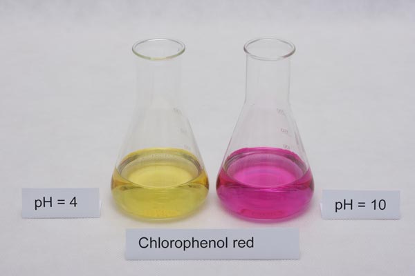colors of chlorophenol red indicator in different pH solutions